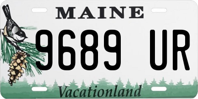 ME license plate 9689UR