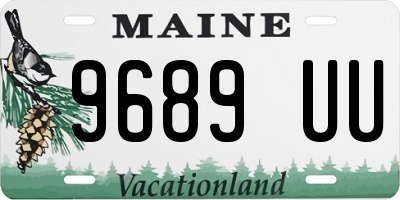 ME license plate 9689UU