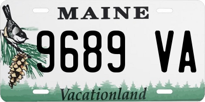 ME license plate 9689VA