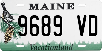ME license plate 9689VD