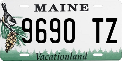 ME license plate 9690TZ