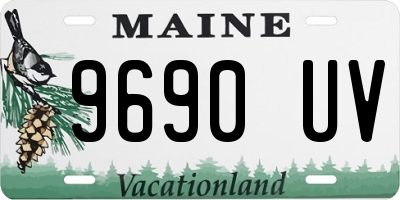 ME license plate 9690UV