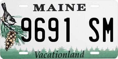 ME license plate 9691SM