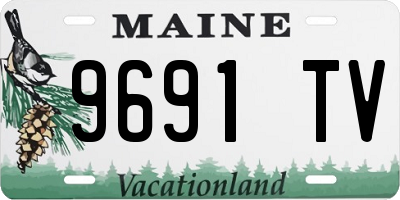 ME license plate 9691TV