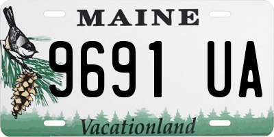 ME license plate 9691UA