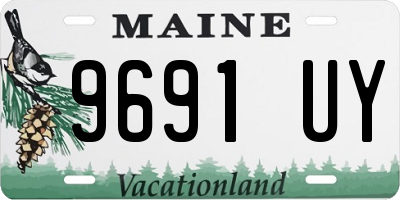 ME license plate 9691UY