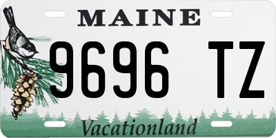 ME license plate 9696TZ