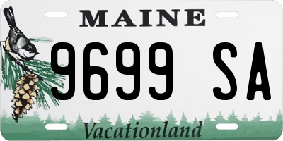 ME license plate 9699SA