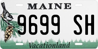 ME license plate 9699SH