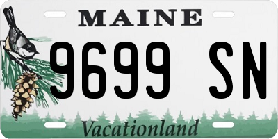 ME license plate 9699SN