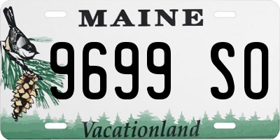 ME license plate 9699SO