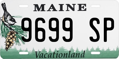 ME license plate 9699SP
