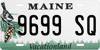 ME license plate 9699SQ