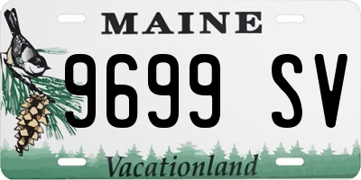 ME license plate 9699SV