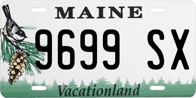 ME license plate 9699SX