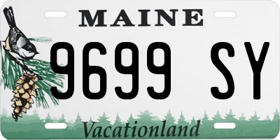 ME license plate 9699SY