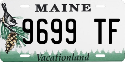 ME license plate 9699TF