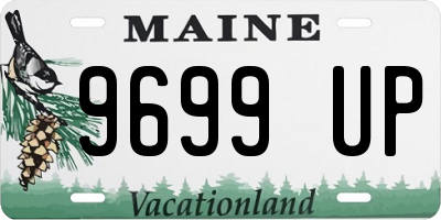 ME license plate 9699UP