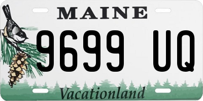 ME license plate 9699UQ