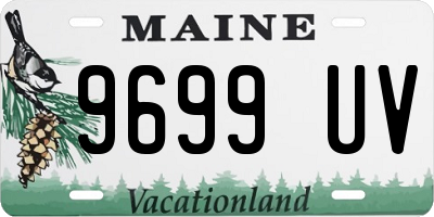 ME license plate 9699UV