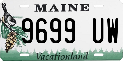 ME license plate 9699UW