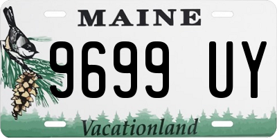 ME license plate 9699UY