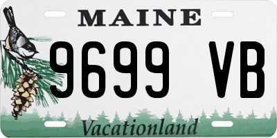 ME license plate 9699VB