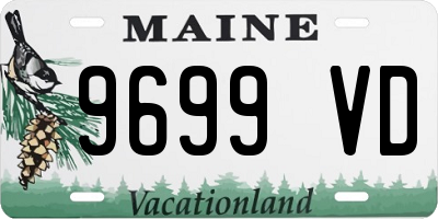 ME license plate 9699VD