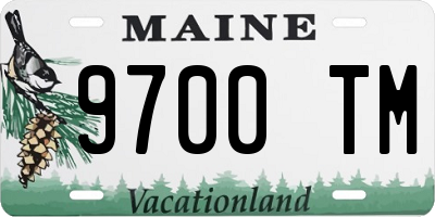 ME license plate 9700TM