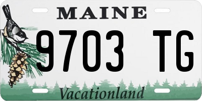 ME license plate 9703TG