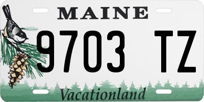 ME license plate 9703TZ