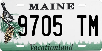 ME license plate 9705TM