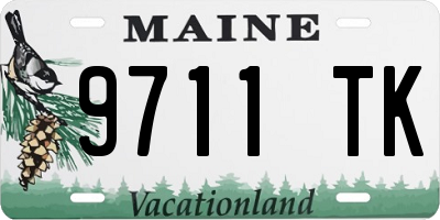 ME license plate 9711TK