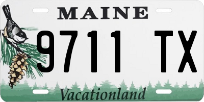 ME license plate 9711TX