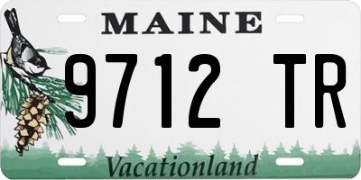 ME license plate 9712TR