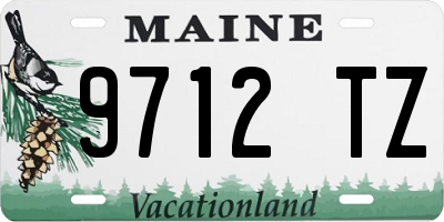 ME license plate 9712TZ