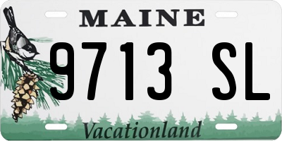 ME license plate 9713SL
