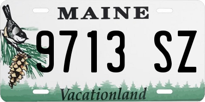 ME license plate 9713SZ