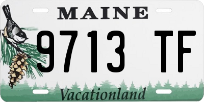 ME license plate 9713TF