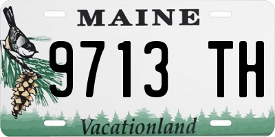 ME license plate 9713TH