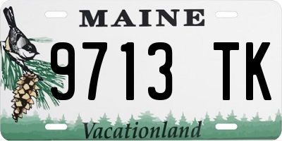 ME license plate 9713TK