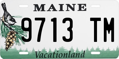 ME license plate 9713TM