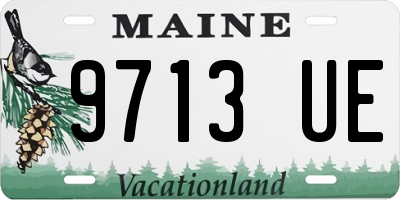 ME license plate 9713UE
