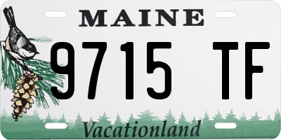 ME license plate 9715TF