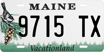 ME license plate 9715TX