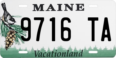 ME license plate 9716TA