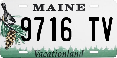 ME license plate 9716TV
