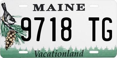ME license plate 9718TG