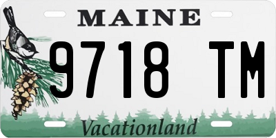 ME license plate 9718TM