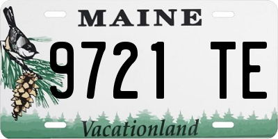 ME license plate 9721TE
